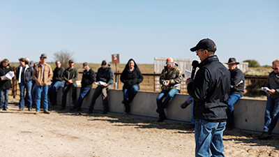 David Lalman teaches at the OSU Livestock and Range Field Day.