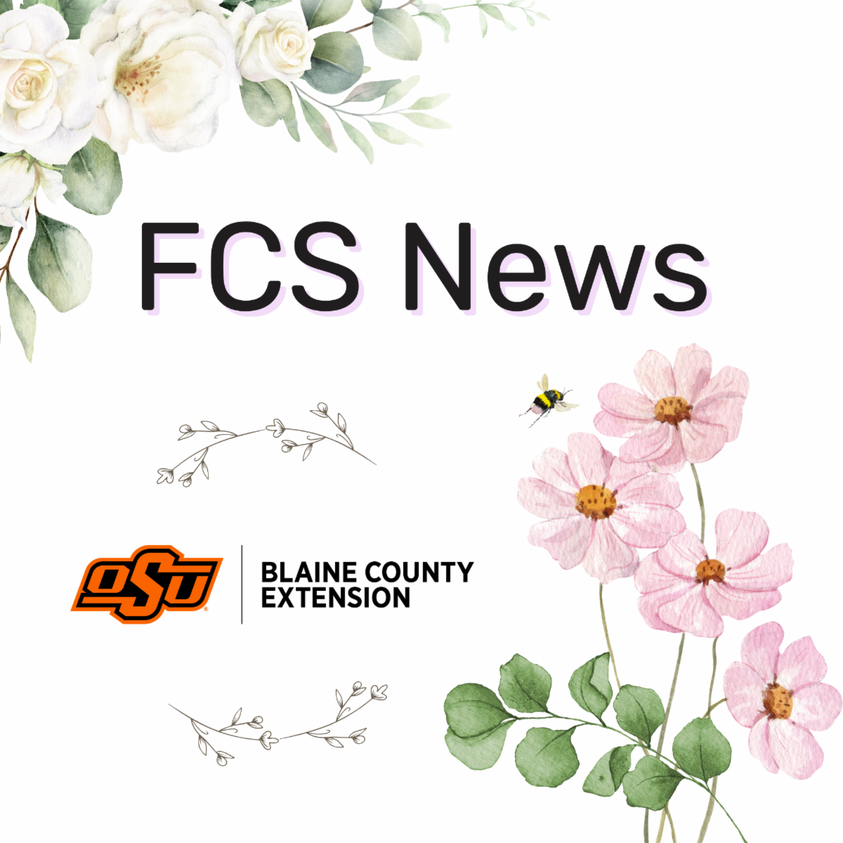 FCS News, Blaine County Extension Family and Consumer Sciences.