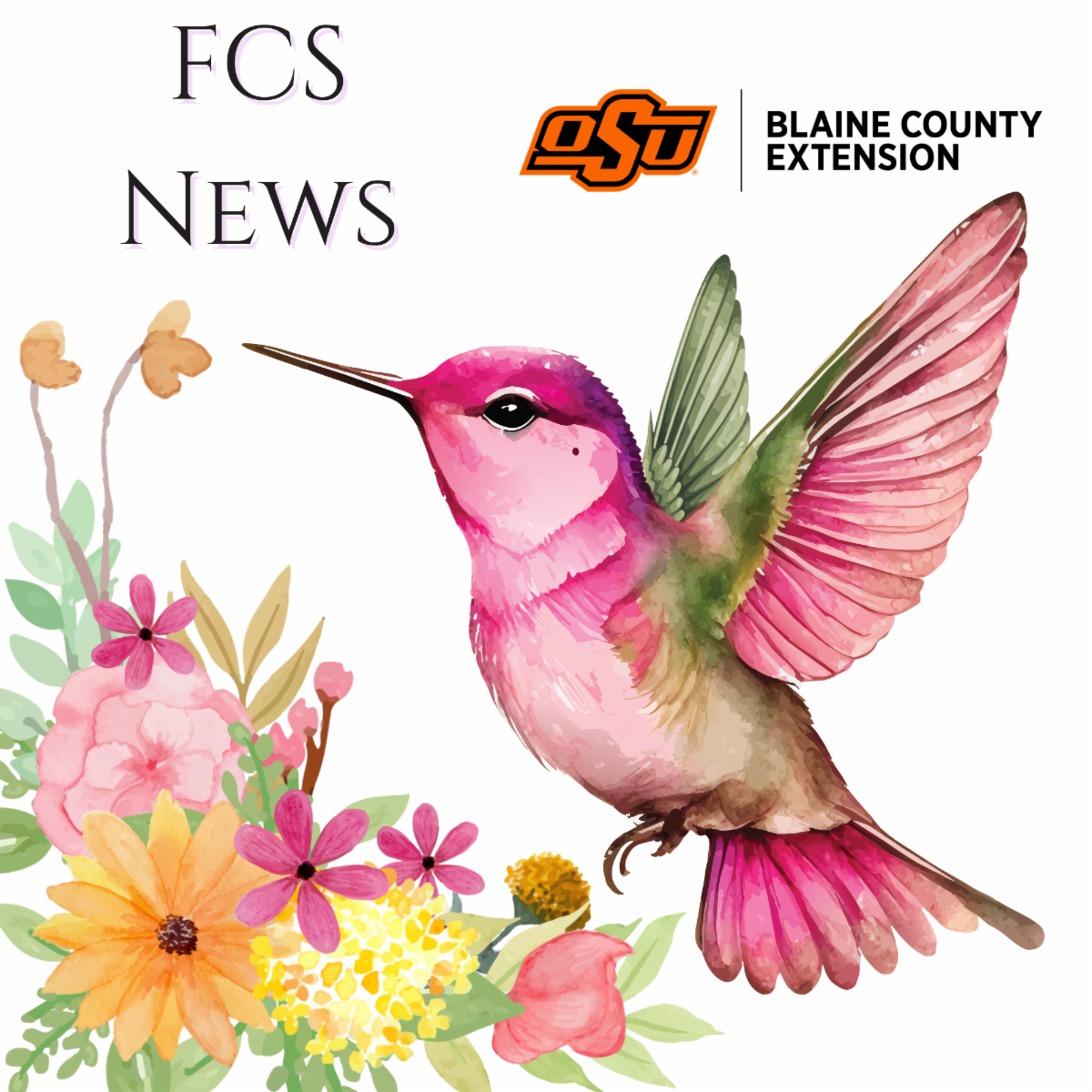 FCS News newsletter cover featuring a watercolor hummingbird hovering above colorful flowers, with Oklahoma State University and Blaine County Extension branding.