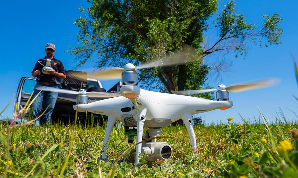 Modern drone landed in grass.