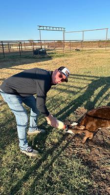 Jayson Lusk bottle feeds a calf.