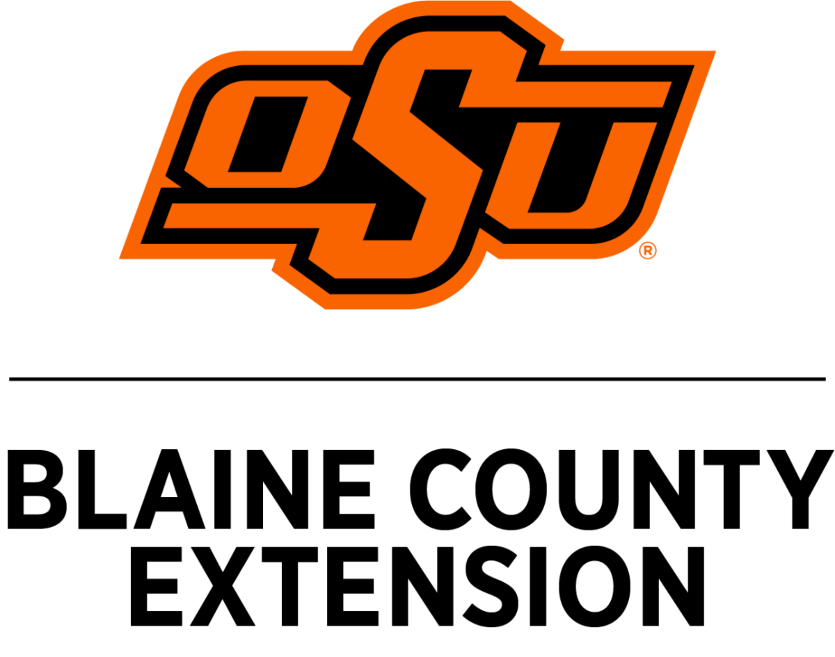 The logo of Blaine County OSU Extension. The OSU logo in orange and black and Blaine County Extension in black text underneath.