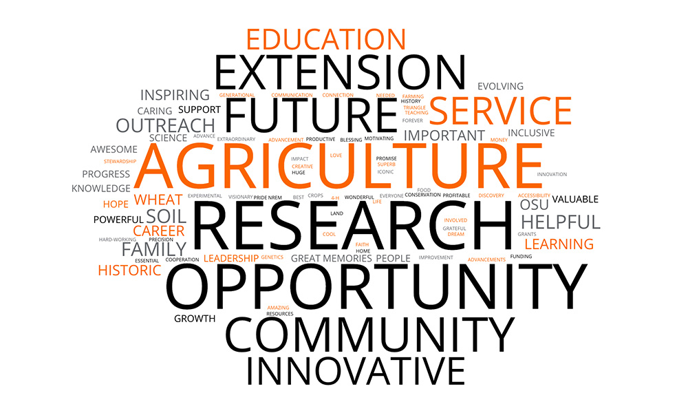 Black and orange text word cloud that describes land-grant.