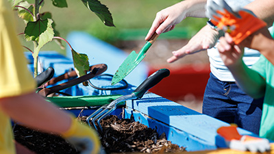 Individuals gardening outside.