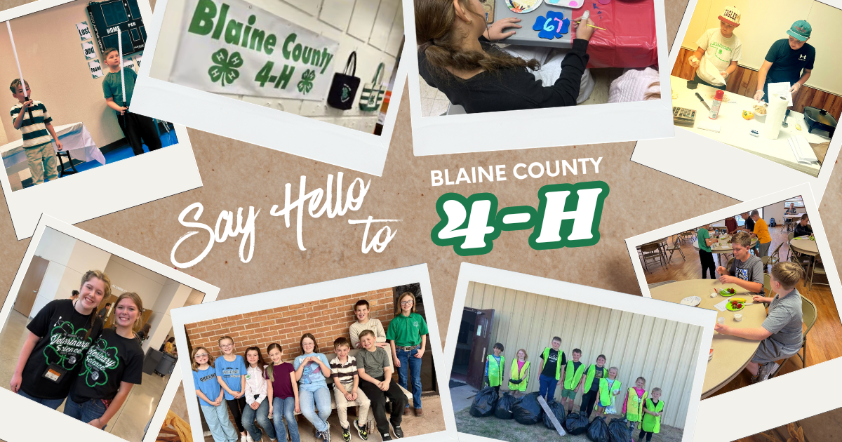 ollage graphic reading “Say Hello to Blaine County 4-H,” featuring photos of youth participating in presentations, crafts, food preparation, group activities, and a community cleanup.