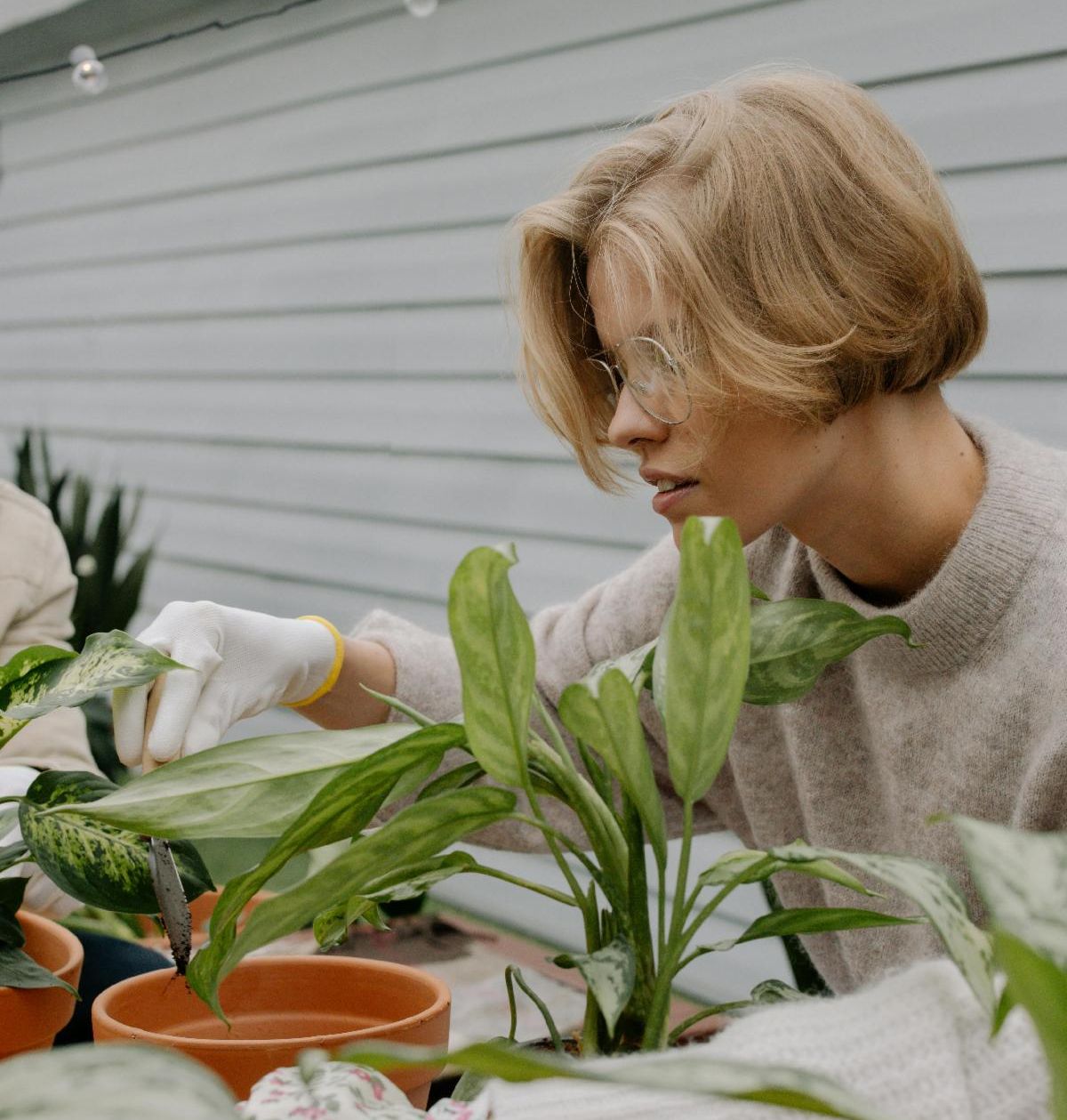 woman and potted plants 