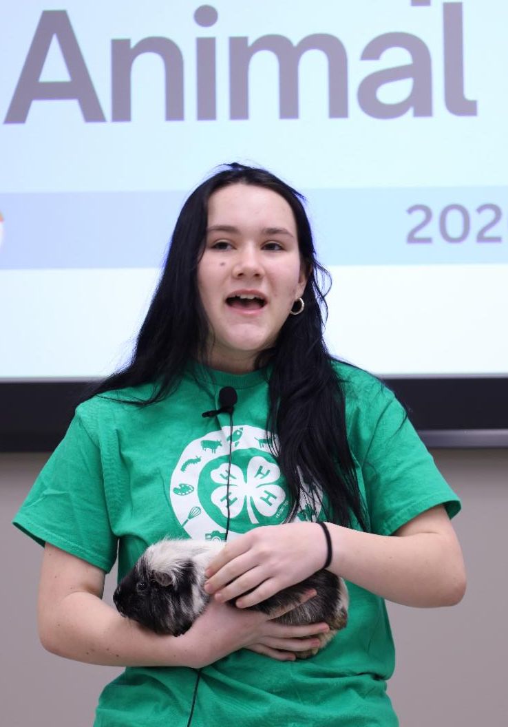 girl in 4-H shirt giving a speech with a guinea pig
