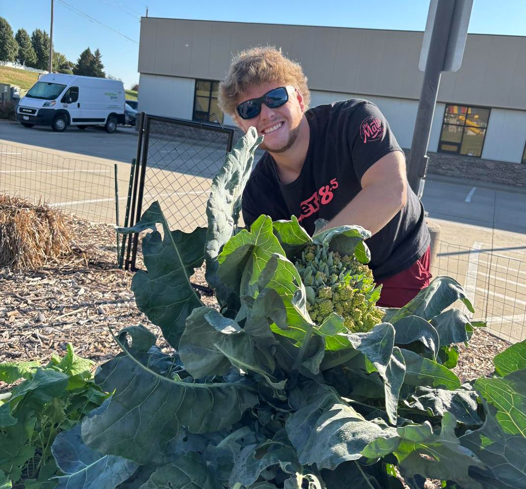 man gardening in a sunny location