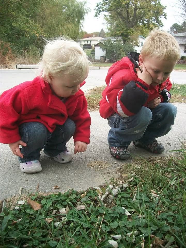 two small children looking at the leaves