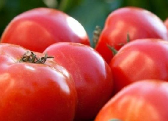 tomato