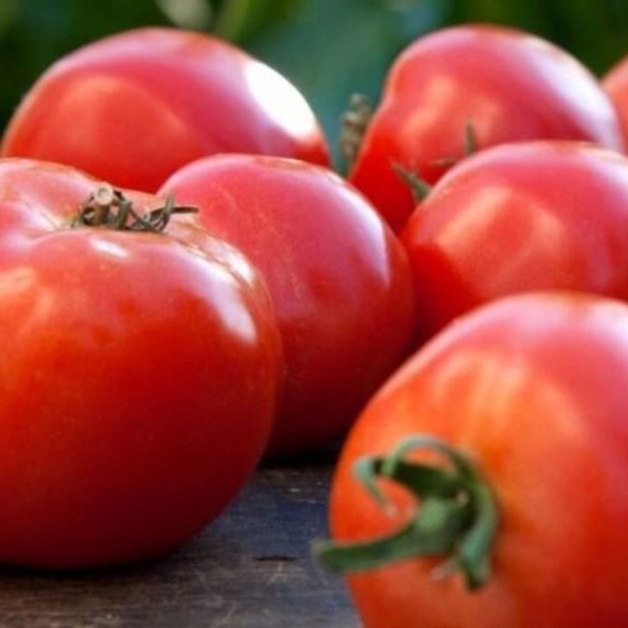 picture of a pile of tomatoes