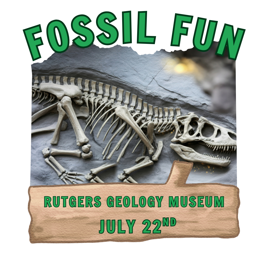 Fossil Fun with Rutgers Geology Museum on July 22nd