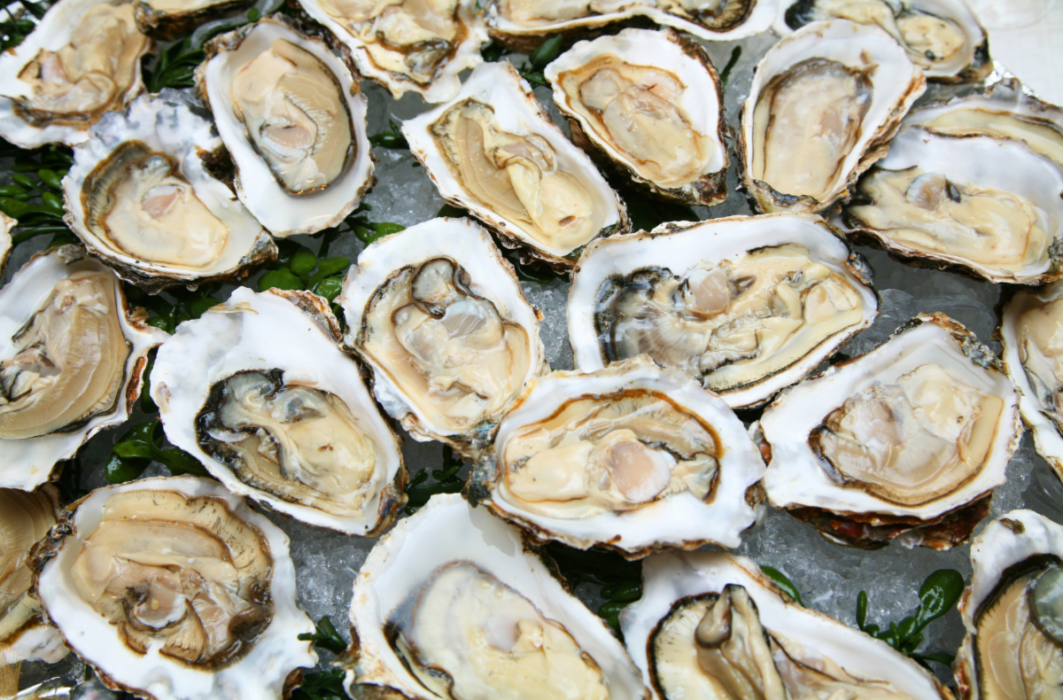 Maine Events to Enjoy in June _4_.png