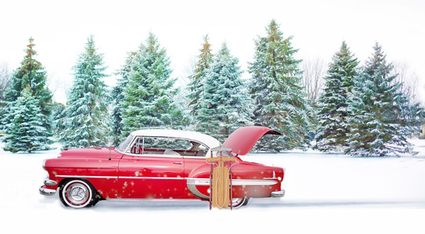 Cars With Those Spiffy Snow Hats As >> New Products December Specials Tremec 2018 Price Increase And More Cars With Those Spiffy Snow Hats As >> New Products December Specials Tremec 2018 Price Increase And More
