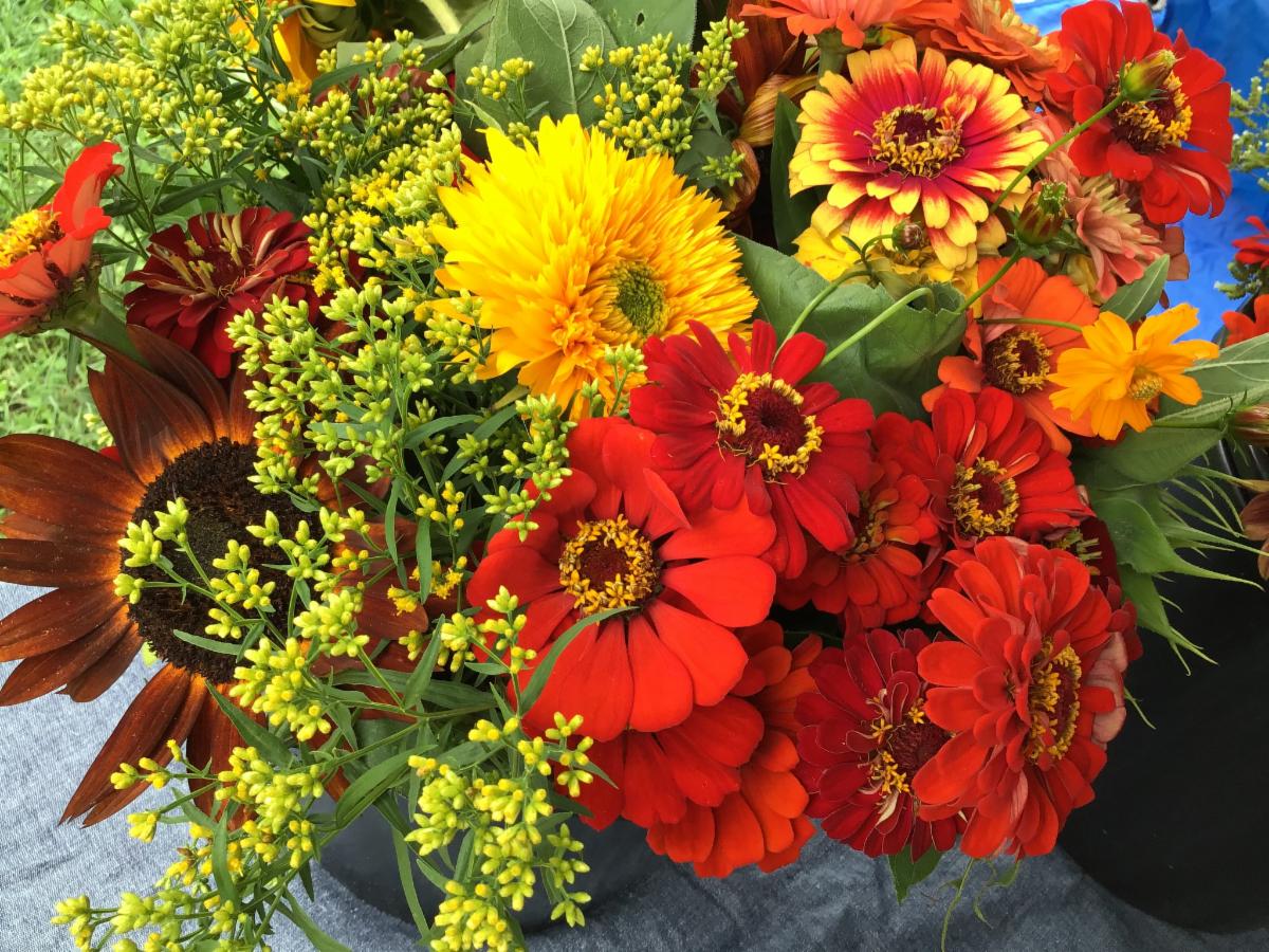 What's for 🍱 lunch this week? Shop at the Druid Hill Farmers Market