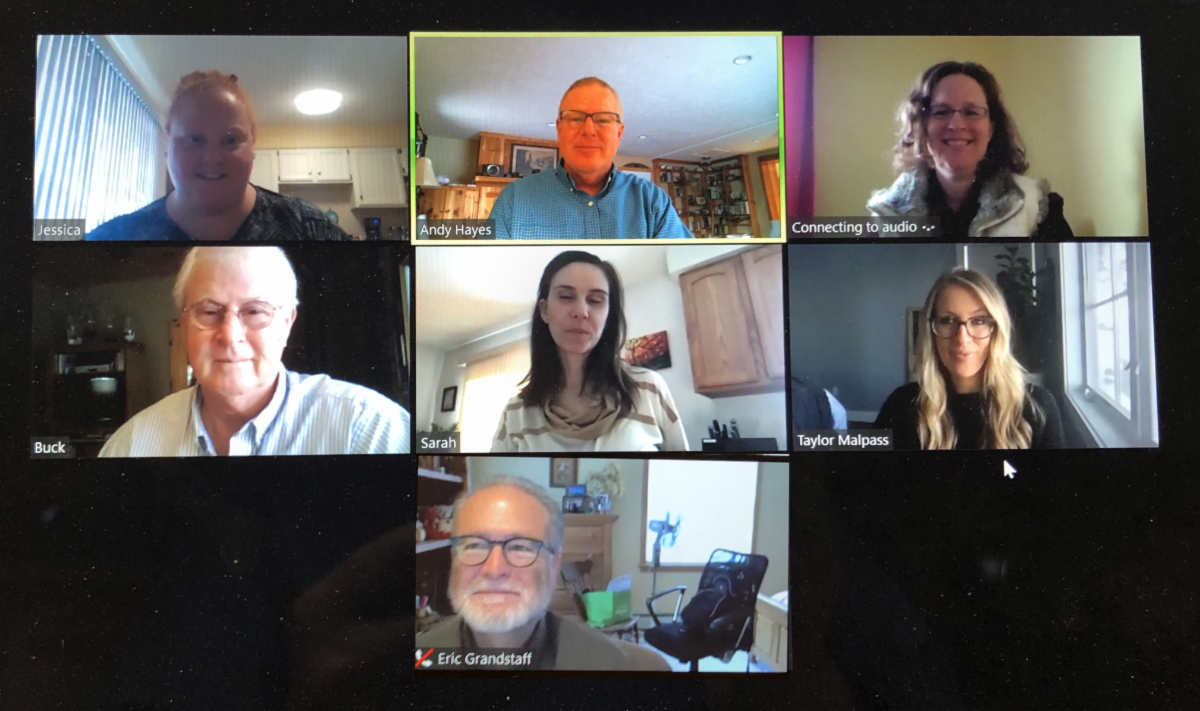 NLEA staff Zoom call