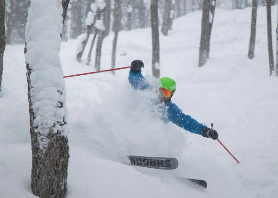shaggy skier