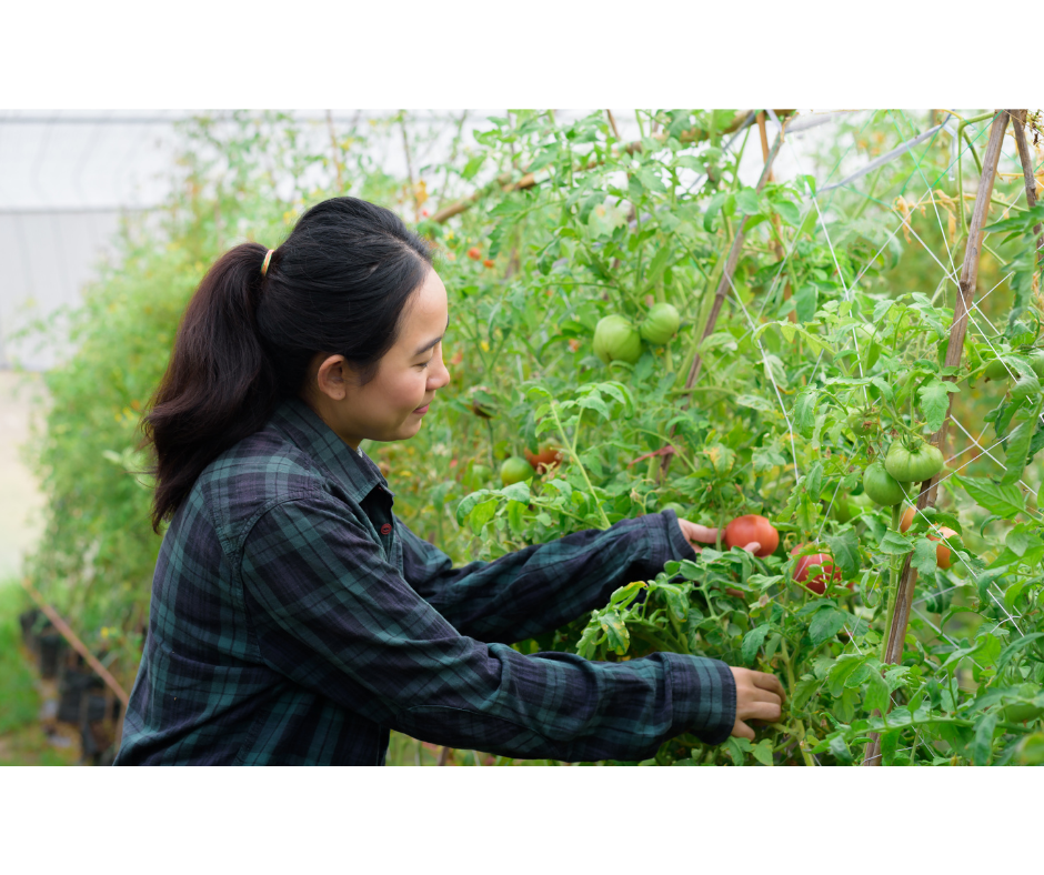 woman agriculture