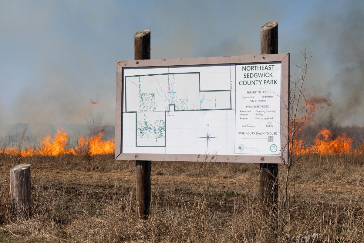 1st District Newsletter from Commissioner Pete