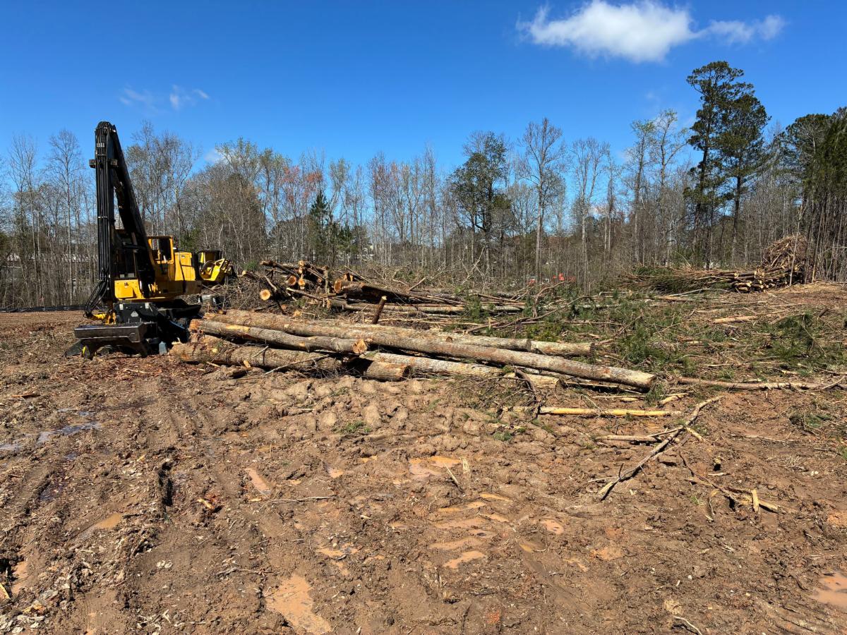 Picture of clearing and grubbing at the new Clayton County Administration Building site at Tara Boulevard and Old Poston Road.