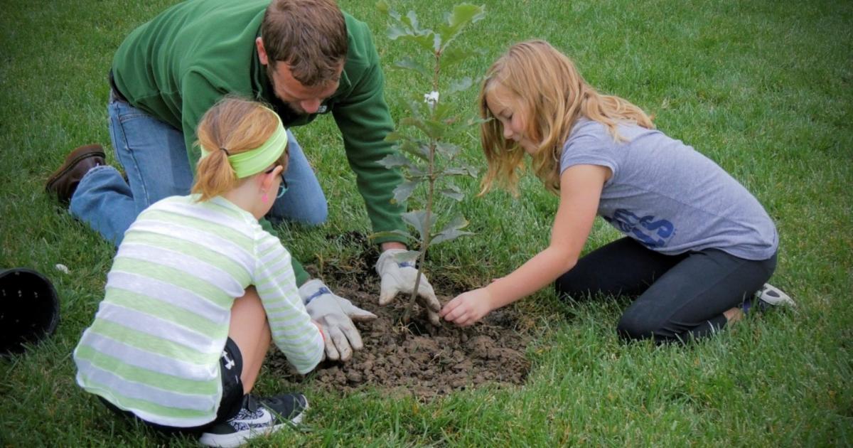Three people plant a tree.