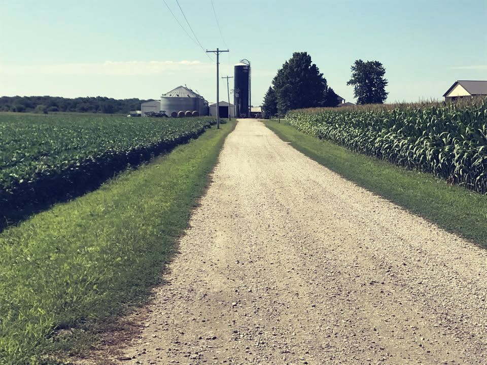 Family farm lane at sunrise
