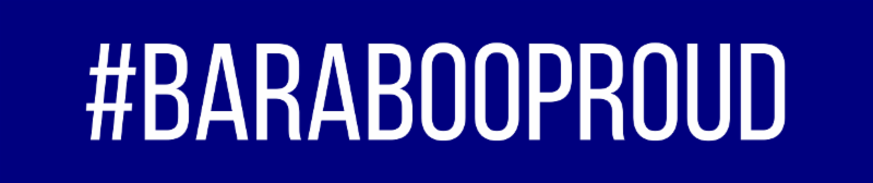 Thunderbird Thursday! Equine Therapy, Aviation Summer Course, BHS