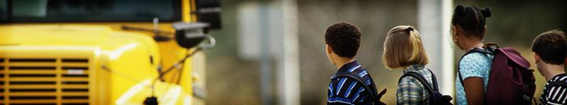 WebsiteBanner