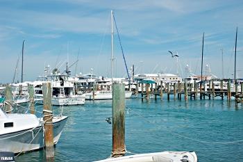 The Keys Blast Ed Krane Friends Special 2018 Summer Issue 1 Key West Historic Seaport Garners The Meritorious Achievement Award For Organizational During 40th Annual Florida Trust 2018