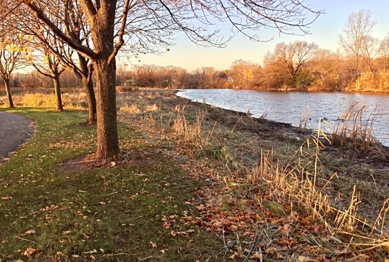 East River Trail in Bellevue