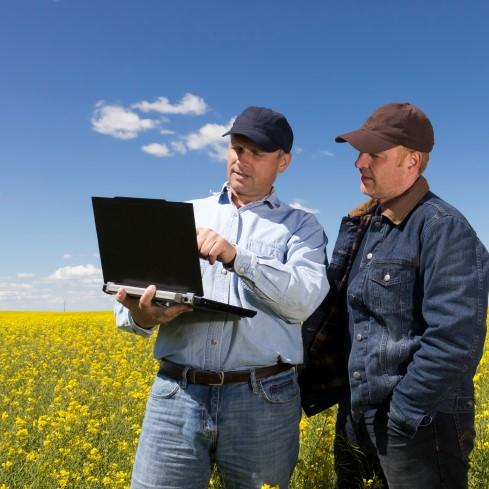 Farmers in field with laptop - ag economics