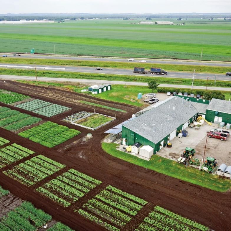 Bradford Muck Crops Research Station