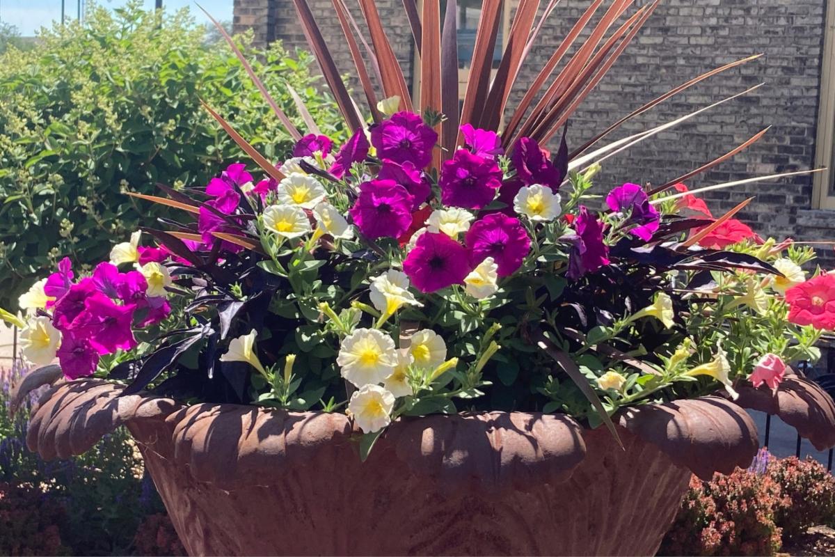 Racine Garden Club Summer Magic Garden Tour