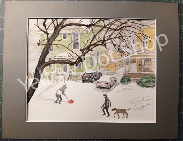 Winter scene from the big snow in January 2026