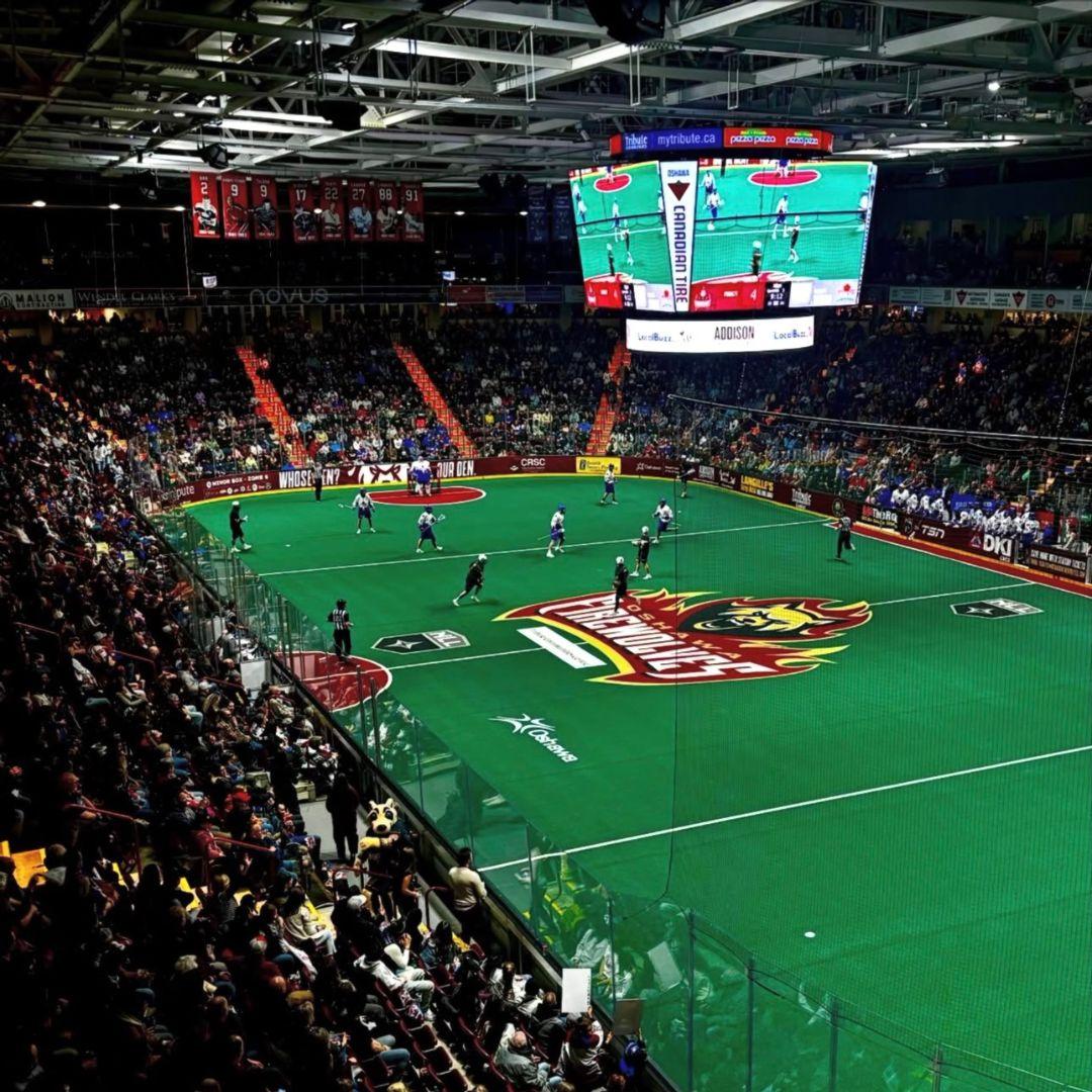 Indoor lacrosse game with fans in the stands