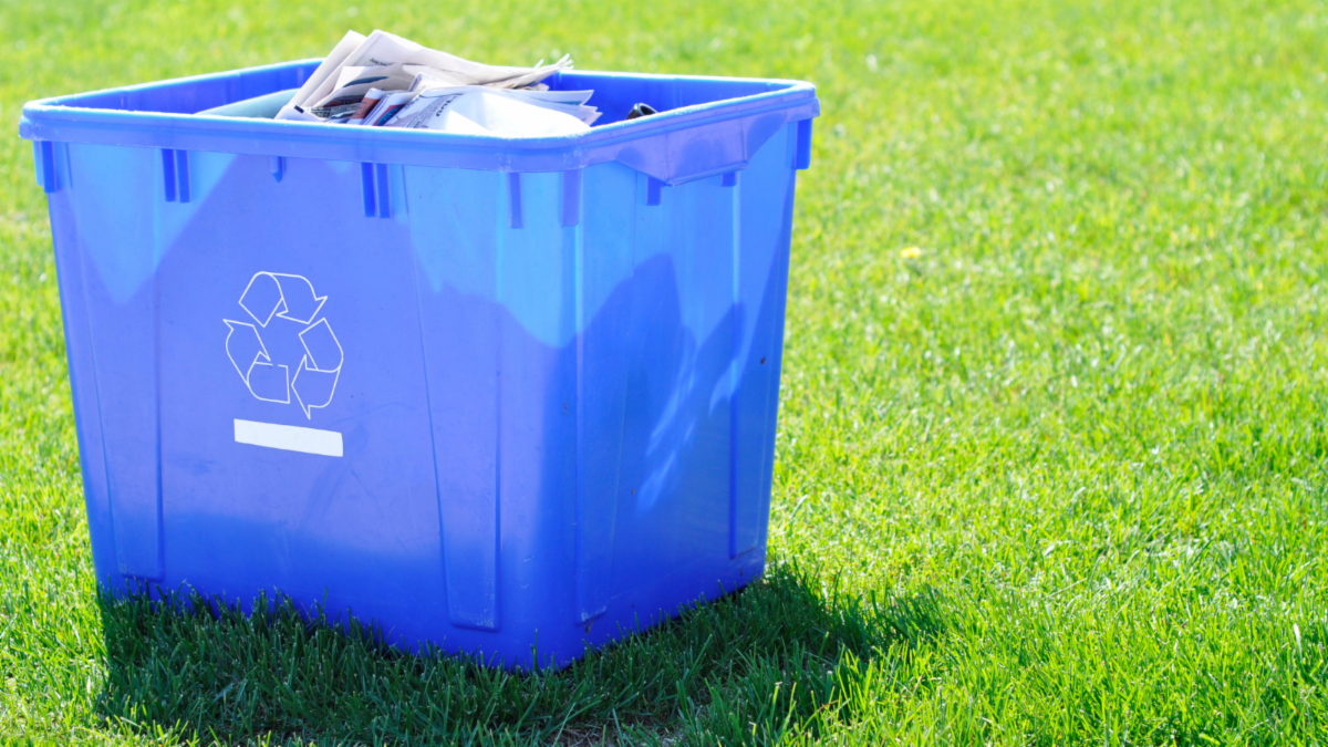 Blue box recycling bin on a green lawn