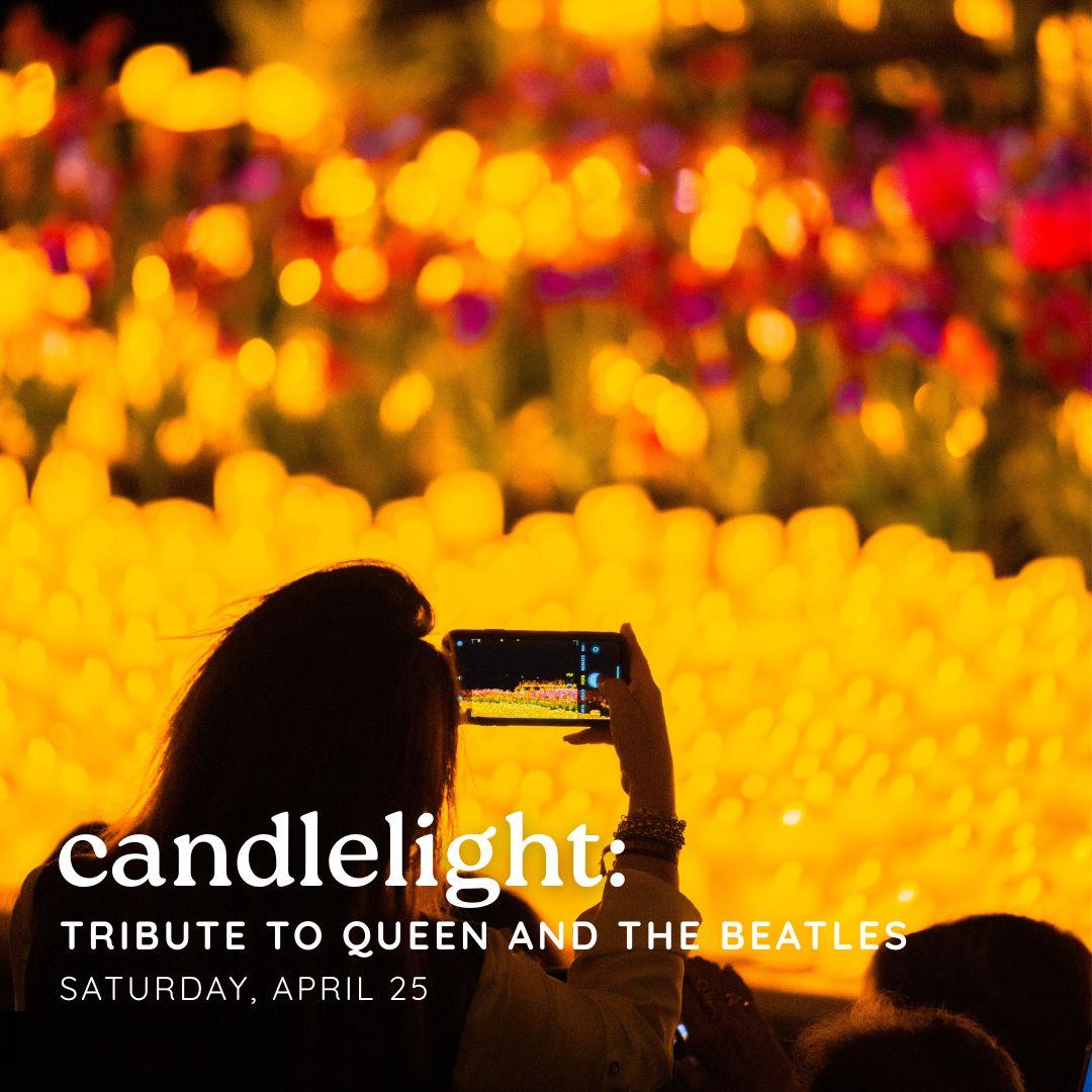 someone taking a photo of a large grouping of candles. Text: Candlelight: tribute to Queen and The Beatles