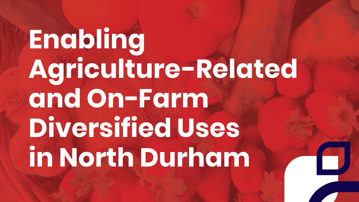 Background shows display of vegetables. White text in the foreground reads enabling agriculture related and on farm diversified uses in north Durham.  Bottom of photo shows logos of Durham Region Invest Durham Townships of Brock Scugog and Uxbridge.