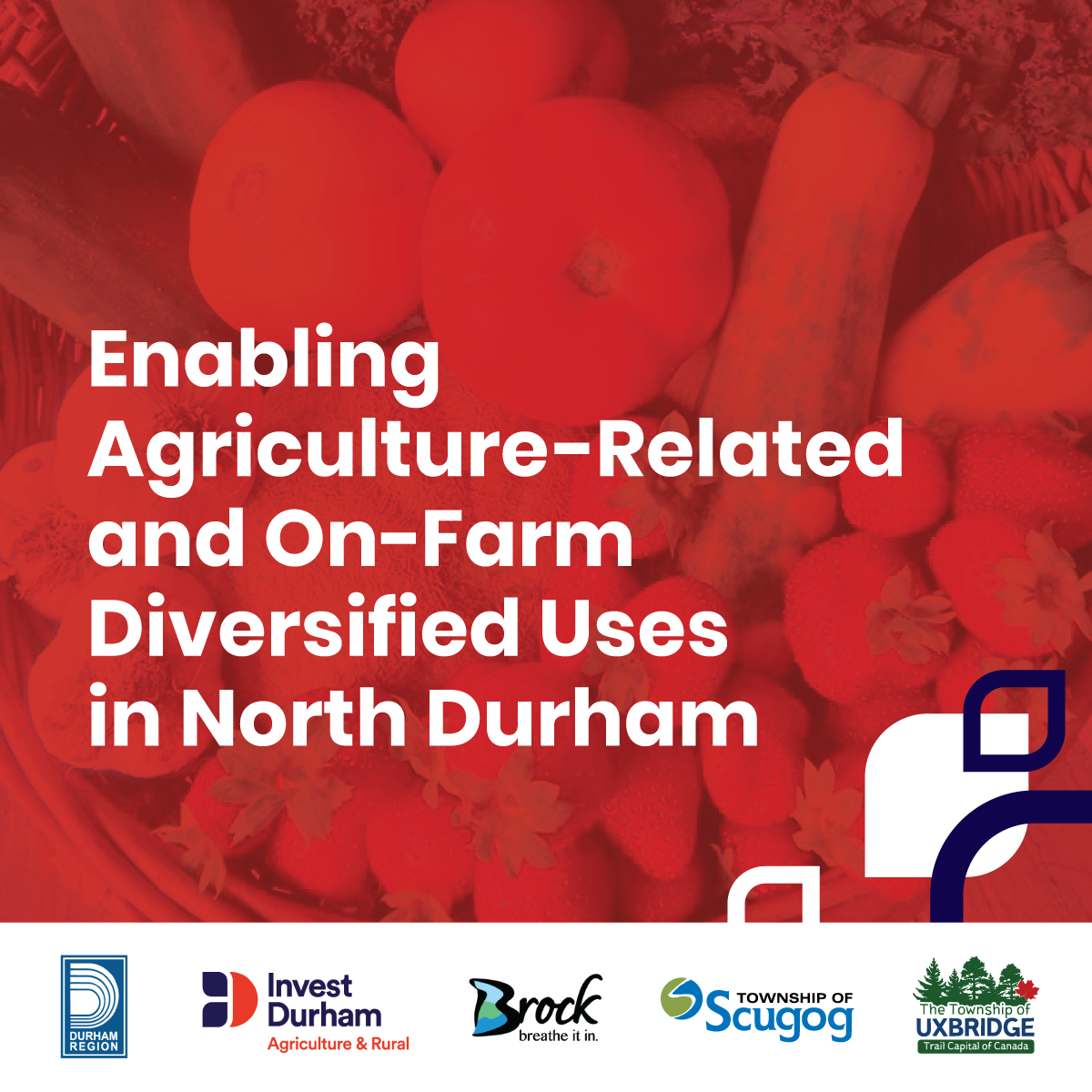 Background shows display of vegetables. White text in the foreground reads enabling agriculture related and on farm diversified uses in north Durham.  Bottom of photo shows logos of Durham Region Invest Durham Townships of Brock Scugog and Uxbridge.
