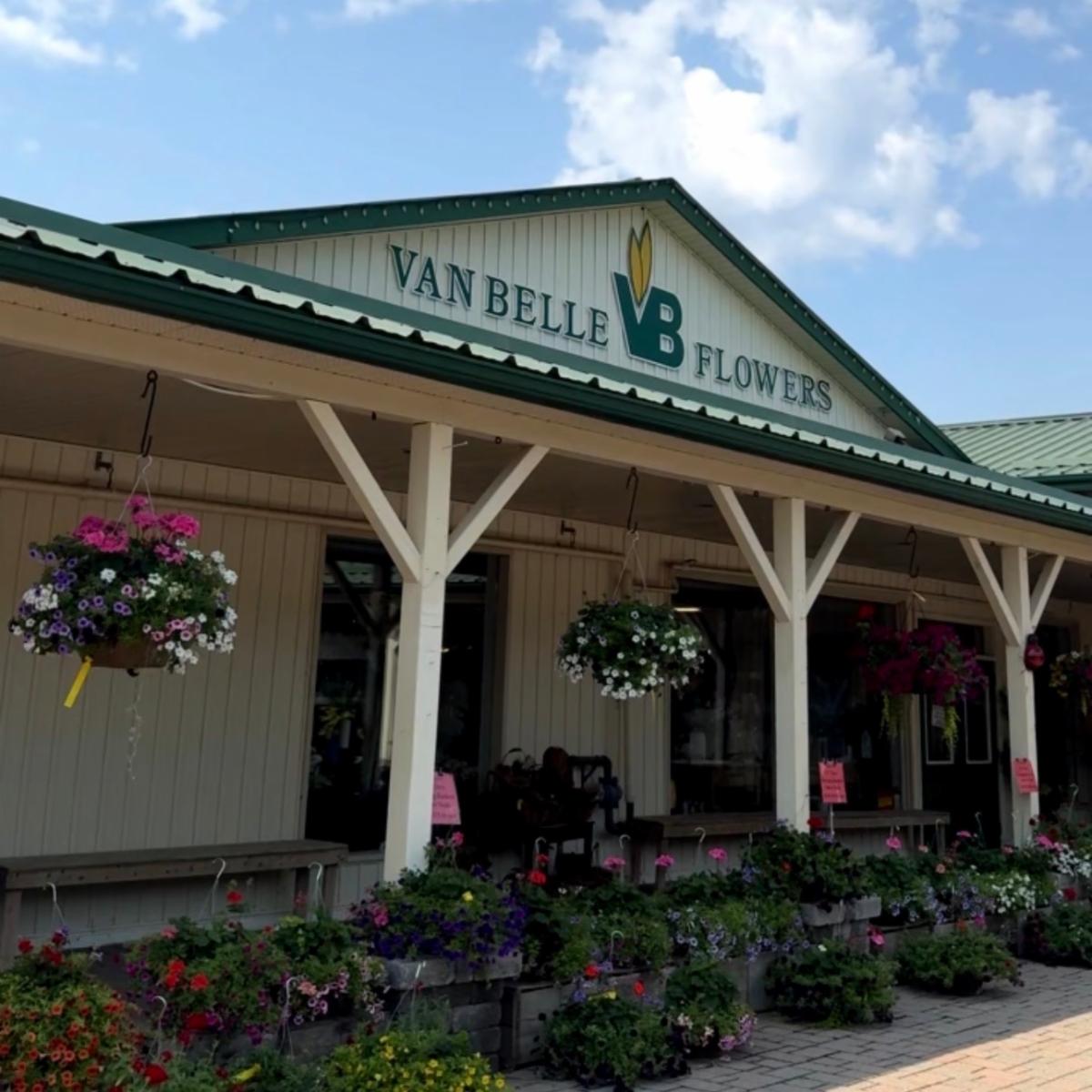 Exterior of garden centre with baskets of flowers
