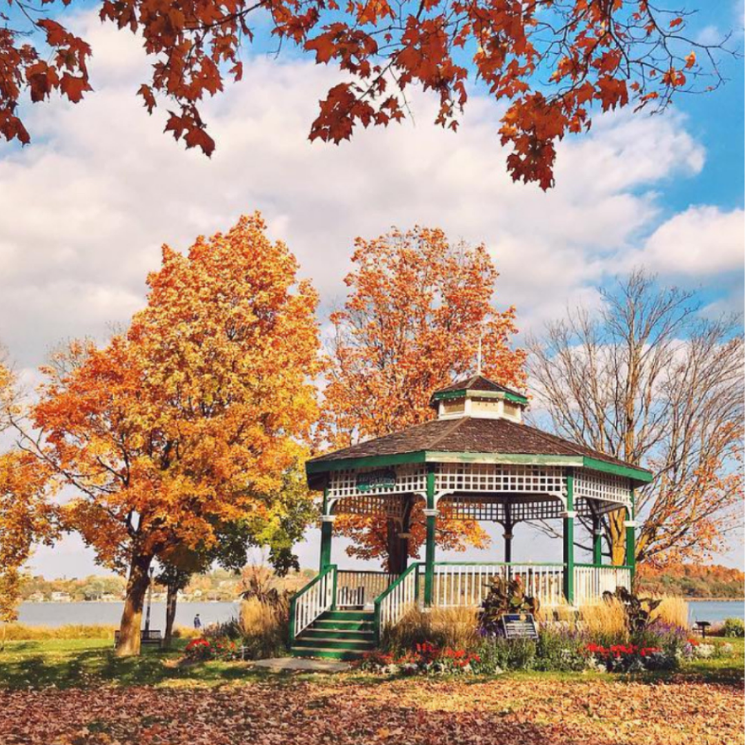gazebo surrounded by fall trees