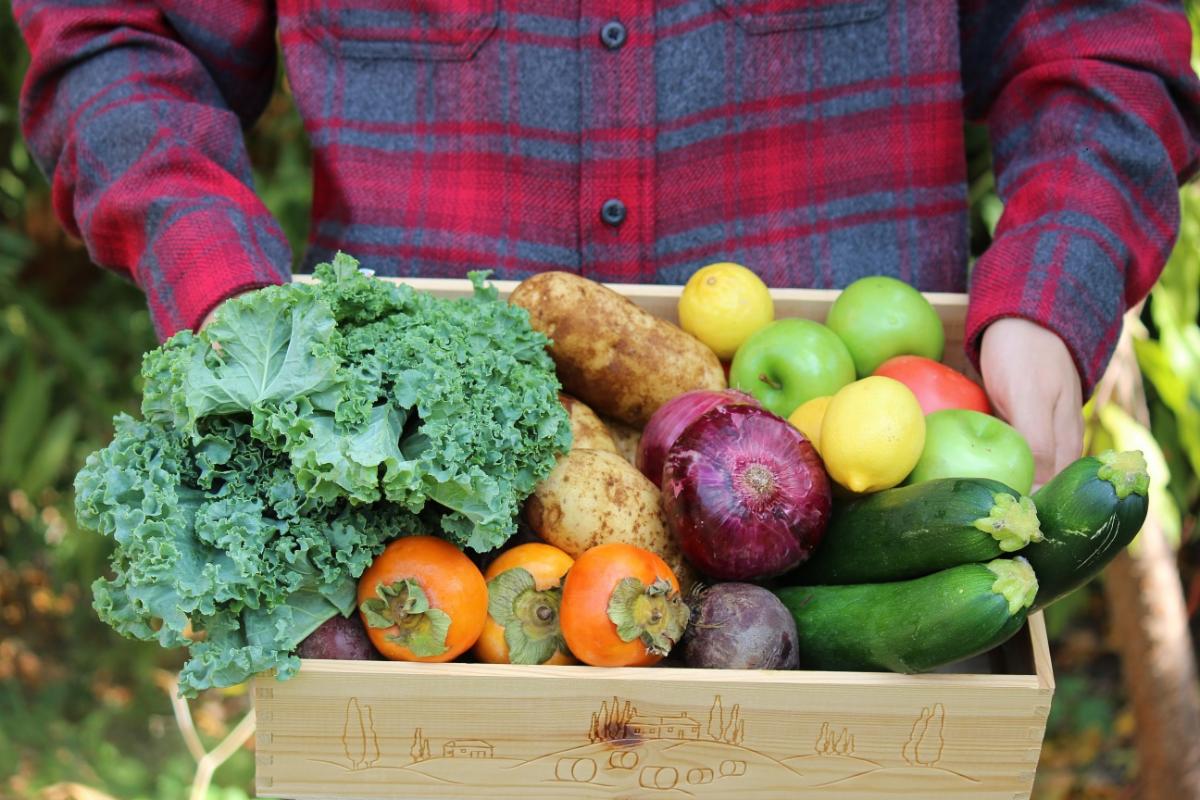 A person holds a wooden box of colourful vegetables