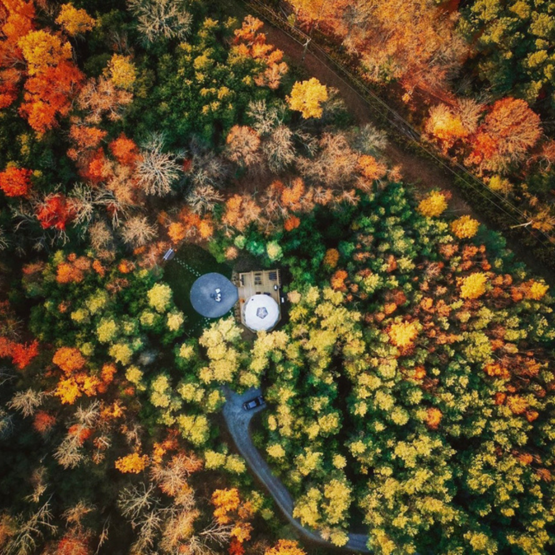 aerial image of a camping dome in the forest