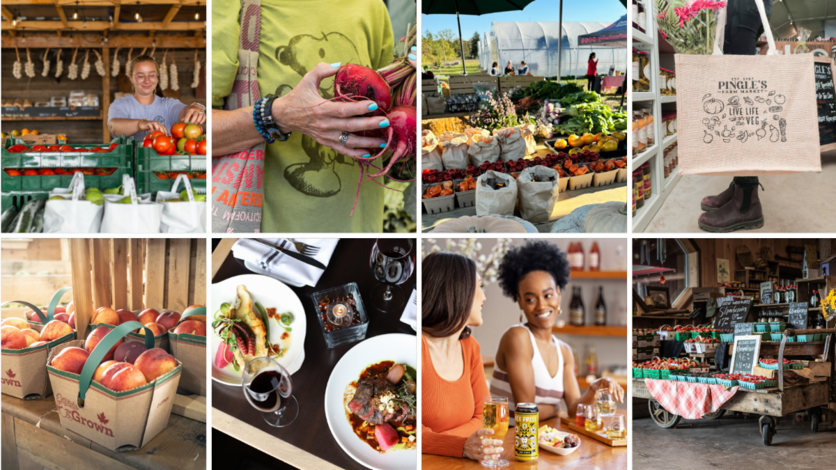 collage of 8 pictures going clockwise: woman sorting tomatoes at farm stand, woman holding beets, outdoor farm stand with vegetables, person holding a shopping bag and flowers, baskets of apples, plates of food set at a table, two women laughing over dinks, fruit farm stand