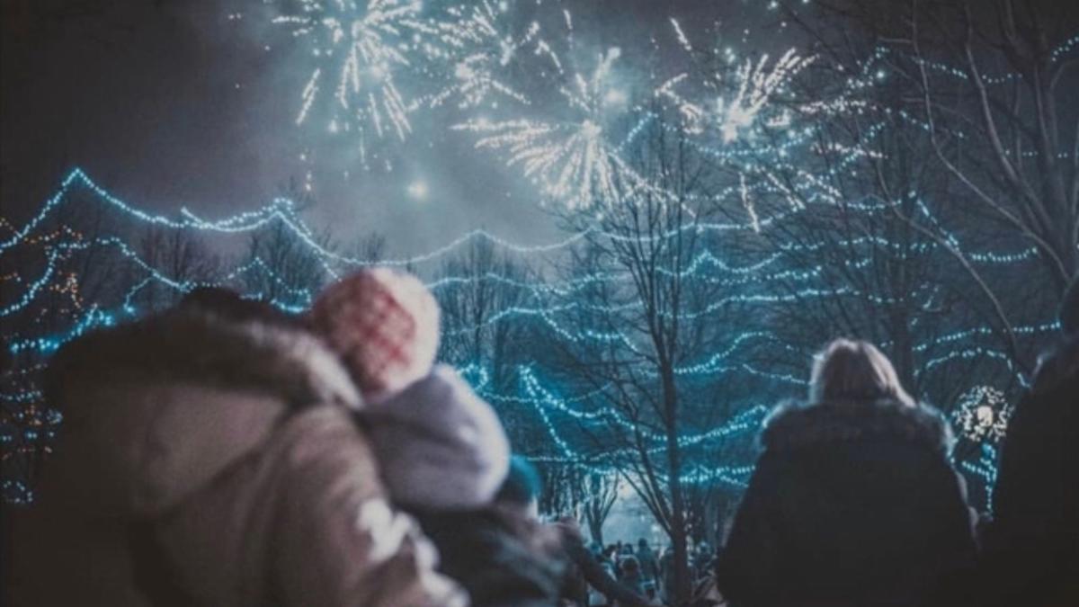 group of people watching fireworks on New Year's Eve