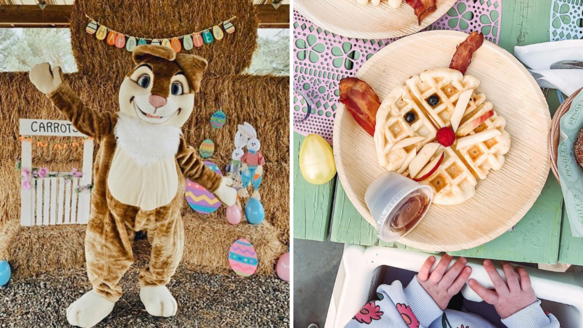 split photo of Easter Bunny on the left and a waffle that looks like a rabbit on the right