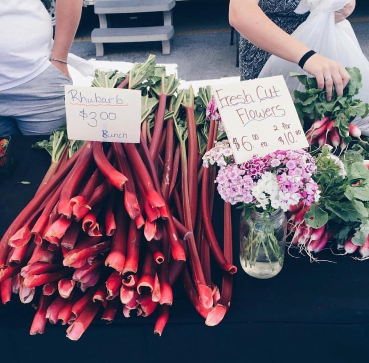 farmers' market stand with rhubarb and fresh cut flowers
