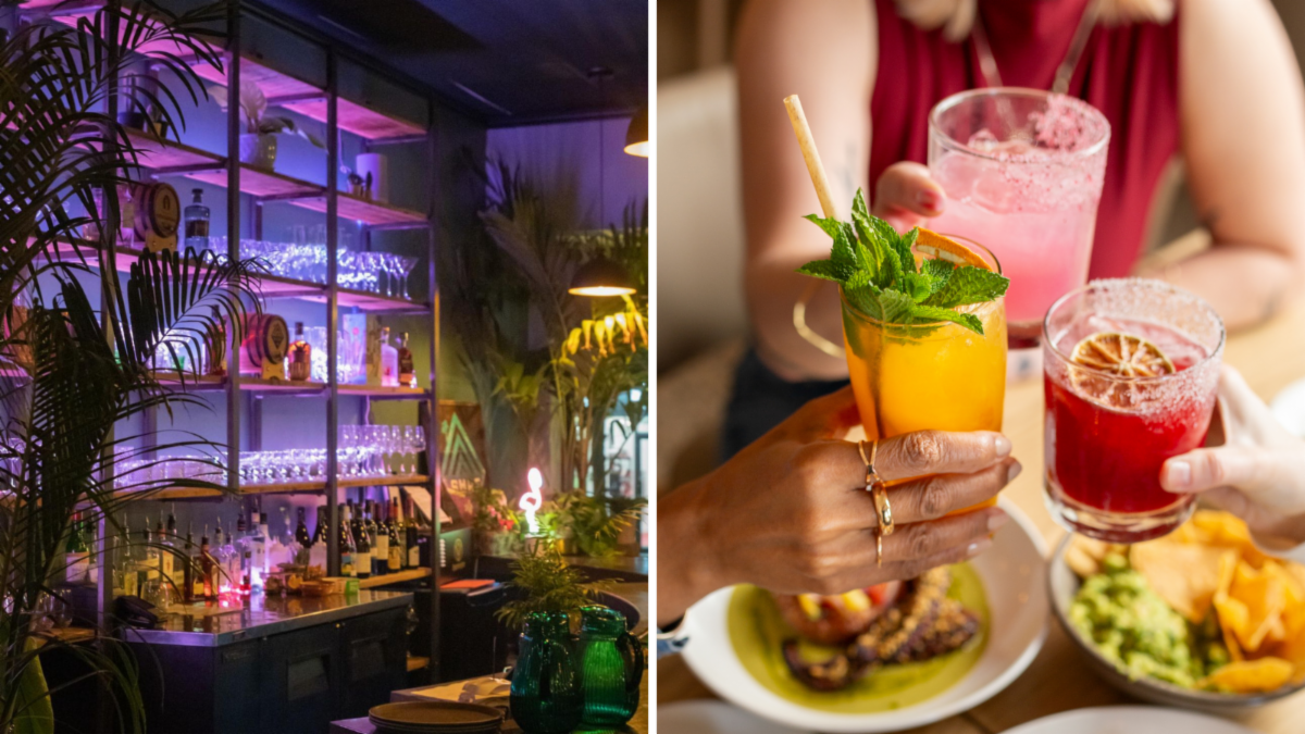 split image shows bar shelf on left surrounded by tropical plants. On the right is an image of three people holding drinks over a plate of food.