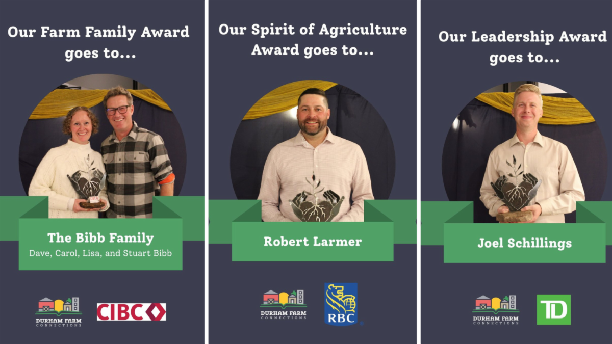 collage of photos of the three winners