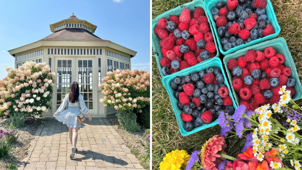 split image. left shows young woman walking towards a gazebo. right image shows four quarts of blueberries and raspberries lying beside flower bouquet